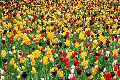 轻肉鸽科幻射击游戏《轮回的瓦尔基里》现已在Steam平台推出试玩版